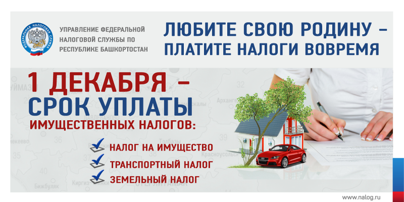 1508224226_banner2.png 1508224226_banner2.png